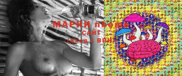 Альфа ПВП Белокуриха