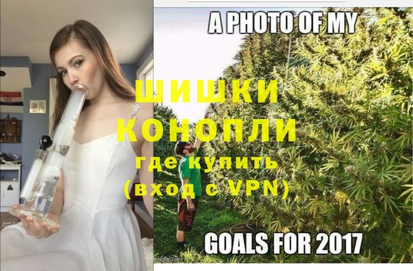 Альфа ПВП Белокуриха