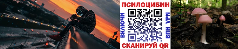 закладки  Железногорск-Илимский  Галлюциногенные грибы MAGIC MUSHROOMS 