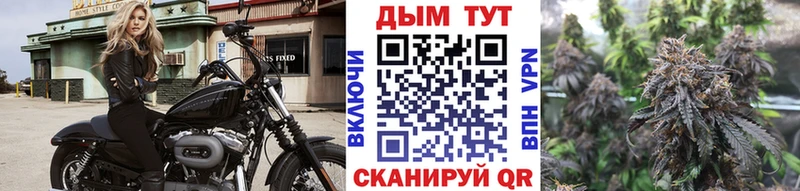 Бошки марихуана Amnesia Железногорск-Илимский
